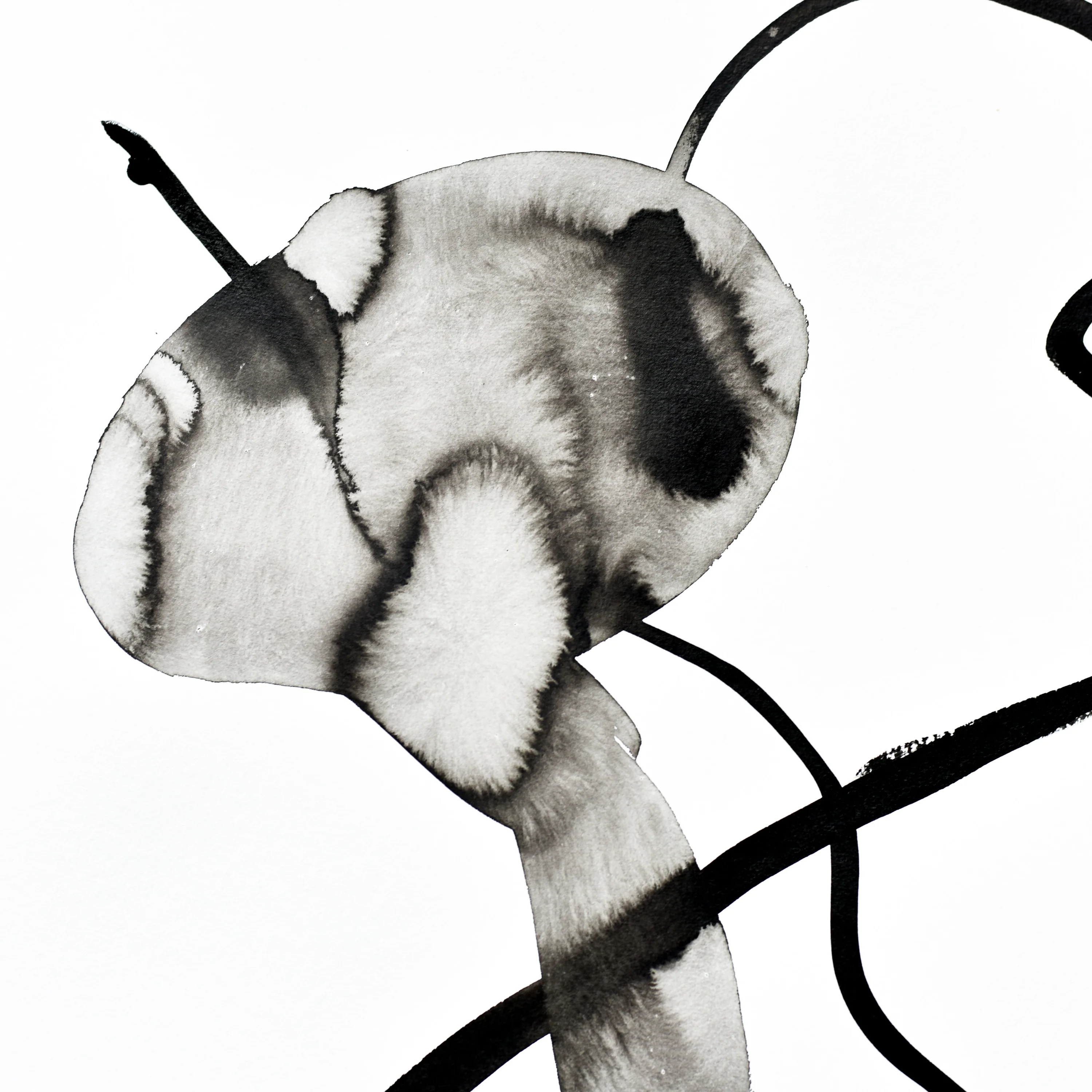 Ink Drawing | Bio Mass - Image 4